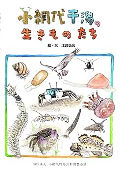 島の生きものたち　淡路の生物誌 81+wOZQEZaL.jpg